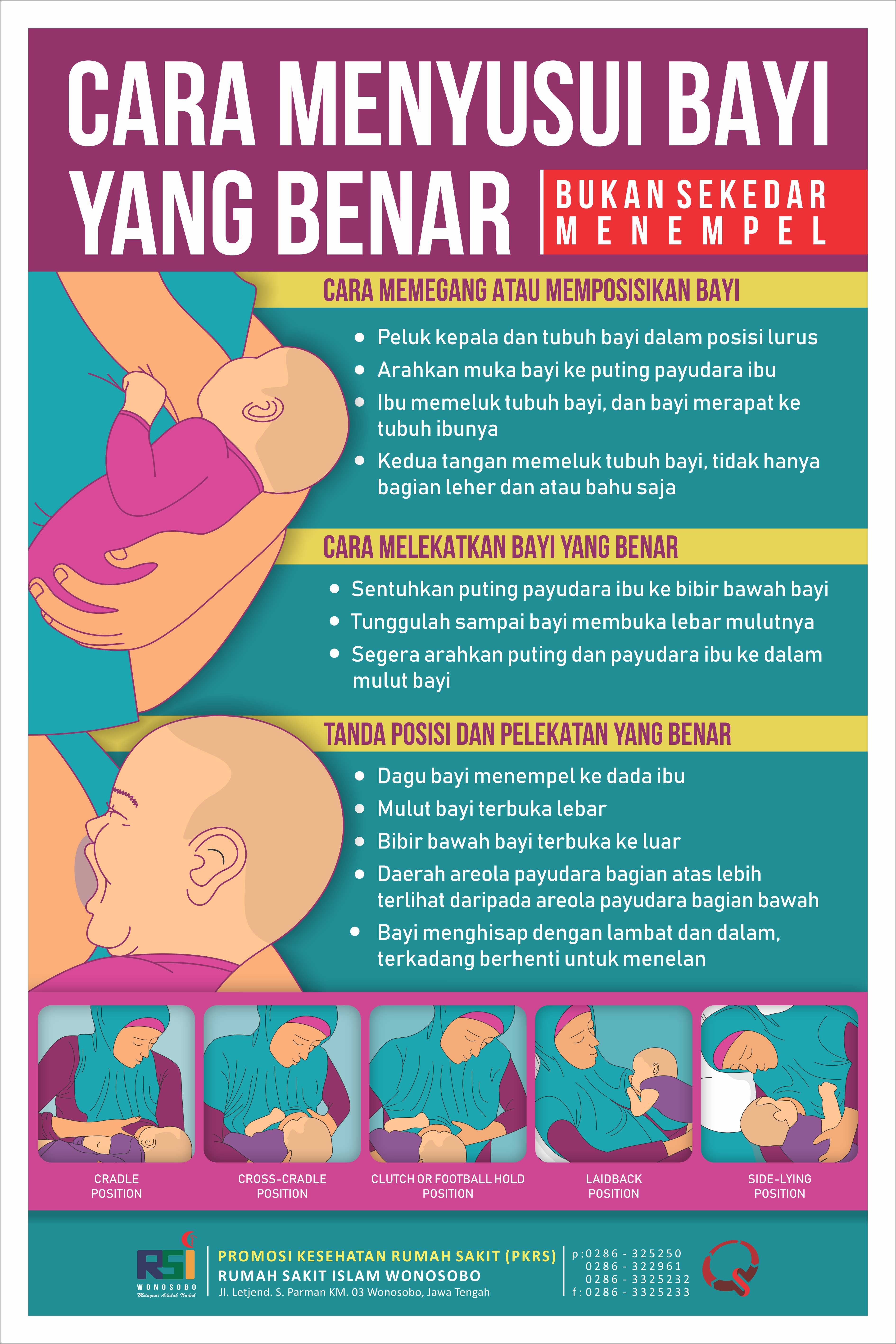Teknik Cara Menyusui Yang Benar Teknik Cara Menyusui Yang Benar